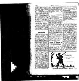 PassauNewspaper 4