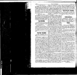PassauNewspaper 4