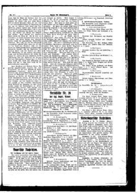 PassauNewspaper 5