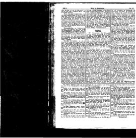 PassauNewspaper 2