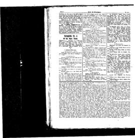 PassauNewspaper 4