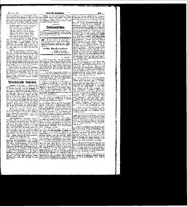 PassauNewspaper 5