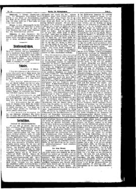 PassauNewspaper 5