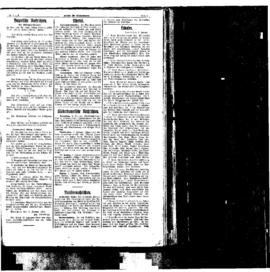 PassauNewspaper 5