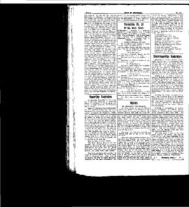 PassauNewspaper 4