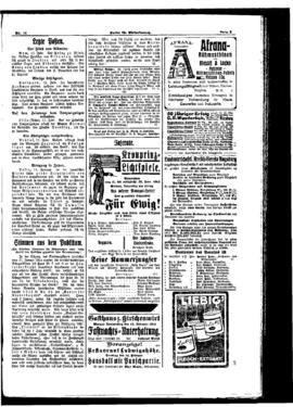 PassauNewspaper 5