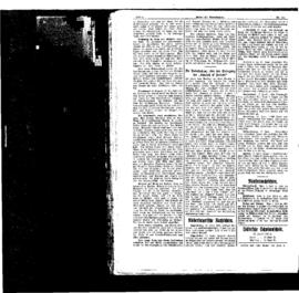 PassauNewspaper 4