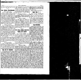 PassauNewspaper 3