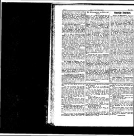 PassauNewspaper 2