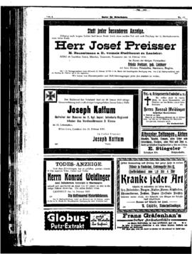 PassauNewspaper 8