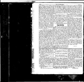 PassauNewspaper 4