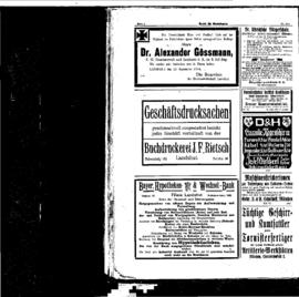 PassauNewspaper 8