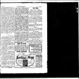 PassauNewspaper 4
