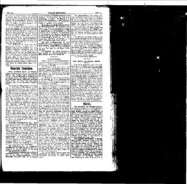 PassauNewspaper 3