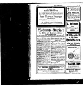 PassauNewspaper 8