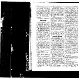 PassauNewspaper 4