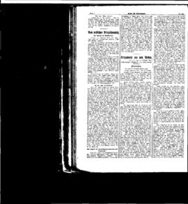 PassauNewspaper 2