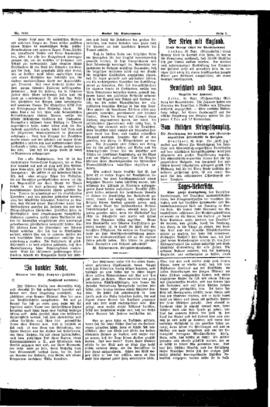 PassauNewspaper 3