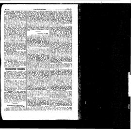 PassauNewspaper 3