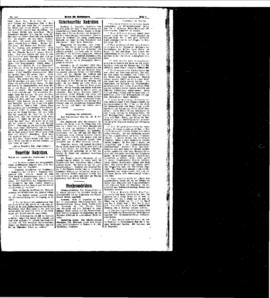 PassauNewspaper 5