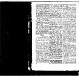 PassauNewspaper 4