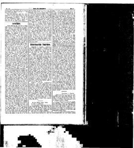 PassauNewspaper 5
