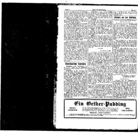 PassauNewspaper 4