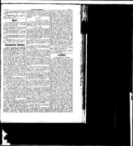 PassauNewspaper 5