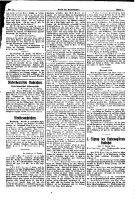 PassauNewspaper 3