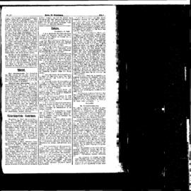PassauNewspaper 5