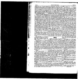 PassauNewspaper 2