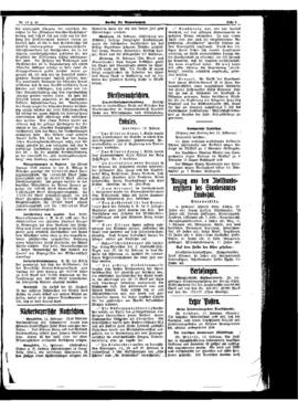 PassauNewspaper 5