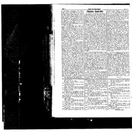 PassauNewspaper 4