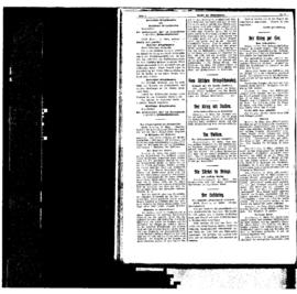 PassauNewspaper 2