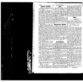 PassauNewspaper 4