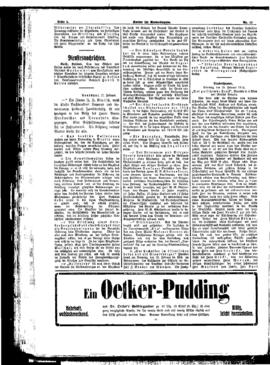 PassauNewspaper 4