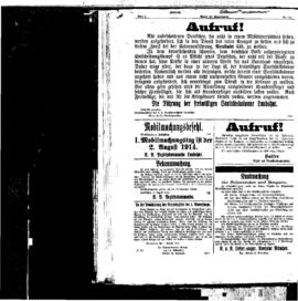 PassauNewspaper 8