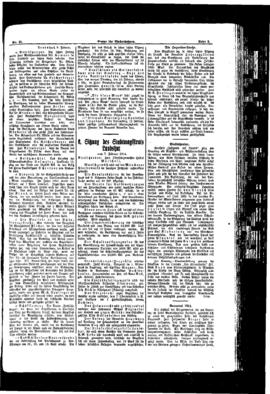 PassauNewspaper 3