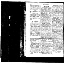PassauNewspaper 4