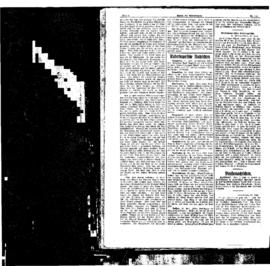 PassauNewspaper 4