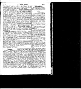 PassauNewspaper 5