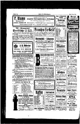 PassauNewspaper 8