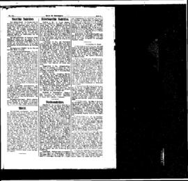 PassauNewspaper 5