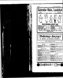 PassauNewspaper 8