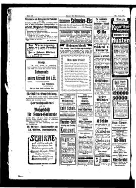 PassauNewspaper 8