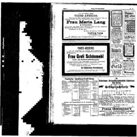 PassauNewspaper 8