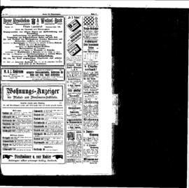 PassauNewspaper 7