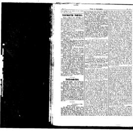 PassauNewspaper 4