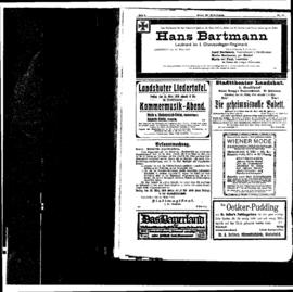 PassauNewspaper 8