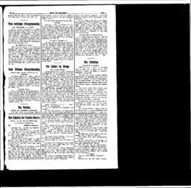 PassauNewspaper 3